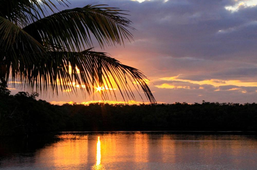 River Wilderness Waterfront Cabins Everglades City Exteriör bild