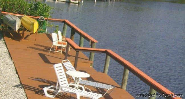 River Wilderness Waterfront Cabins Everglades City Exteriör bild